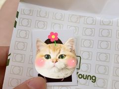 -真我樣照相馆·身份证·证件照·外拍(环球港店)