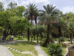 -深圳仙湖植物园