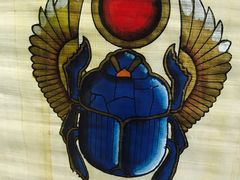 -上海昆虫博物馆