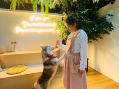 -Husky Go! 哈士奇体验馆·宠物咖啡厅狗咖