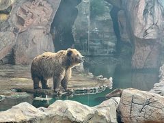 -珠海长隆海洋王国