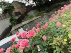 -北京植物园南门售票处