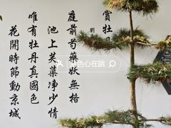 -洛阳市牡丹公园