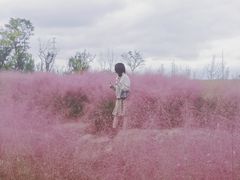 -白鹭湾湿地公园