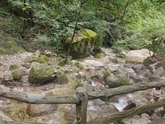 -牛背梁国家森林公园