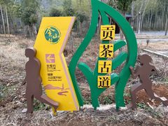 -大唐贡茶院