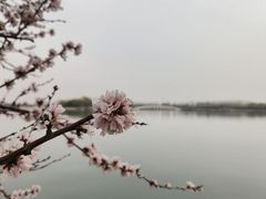 -颐和园