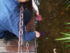 -重庆彩云湖湿地公园