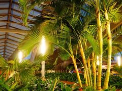 -西沃古尔·拉姆古兰爵士国际机场