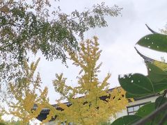 -西园戒幢律寺