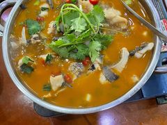-全乐鱼馆·淳牌有机鱼直营店