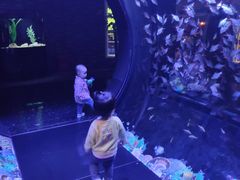 -成都浩海立方海洋公园