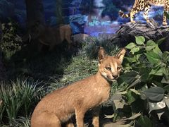 -国家自然博物馆