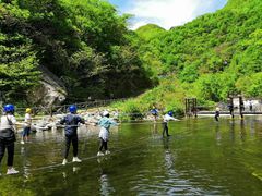 -终南山国家森林公园