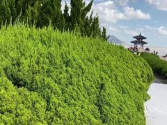 -普陀山风景区-佛顶山