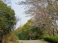 -南京市江宁方山