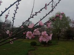 -贵阳市花溪国家城市湿地公园