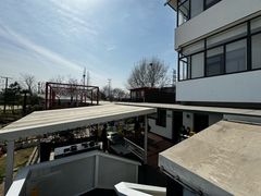 -大队长大灶鹅