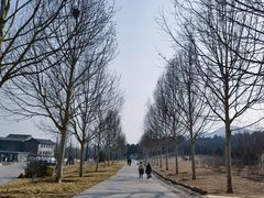 -北京西山国家森林公园