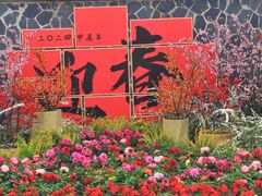 -苏州上方山国家森林公园