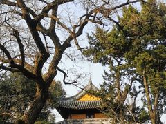 -龙华寺
