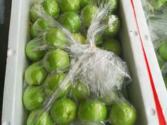 -西郊国际农产品交易中心