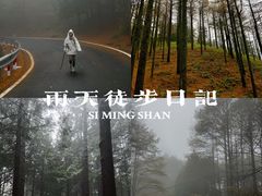 -四明山国家森林公园