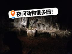 -清迈夜间动物园