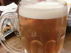 -麦落精酿啤酒餐吧(先农大院店)