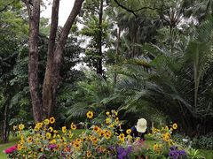 -云溪植物园