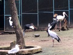 -哈尔滨北方森林动物园