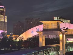 -武汉两江游览·夜游长江(汉口粤汉码头)