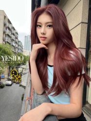 -YESIDO椰岛造型