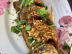 -Doo Dee Thai Food(Issan/Isaan/Esan)