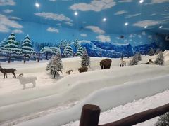-世界之窗阿尔卑斯冰雪世界