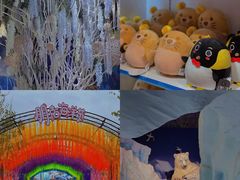 -海合安青岛极地海洋公园