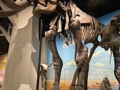 -国家自然博物馆