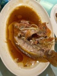 -新锦江大酒店·宴会厅·婚宴