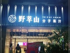 -野萃山·潮汕厚果汁(十亩地店)