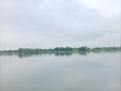-江门古劳水乡旅游区