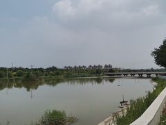 -万源龙顺度假庄园生态观光园