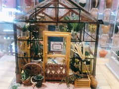 -猫的天空之城概念书店(丽江古城饮玉巷店)