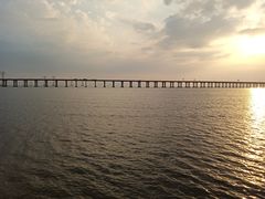 -宝安西湾红树林湿地公园