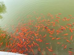 -西海子公园