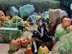 -厦门方特梦幻王国