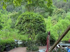-楠柏弯休闲山庄(梨花溪店)