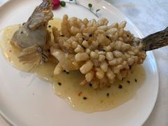 精灵松鼠桂鱼-海味观(老西门店)