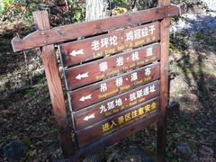 -龙道沟景区