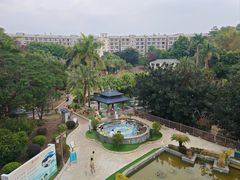 -罗浮山嘉宝田森林温泉度假酒店