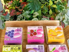 -卡滋贝诺动物奶油生日蛋糕(常熟万达店)